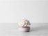 Pink Porcelain Aroma Diffuser for Calm and Relaxation