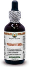 Forsythia Alcohol-Free Liquid Extract, Organic Forsythia (Forsythia Suspensa) Dried Fruit Glycerite, 2 oz