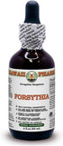 Forsythia Alcohol-Free Liquid Extract, Organic Forsythia (Forsythia Suspensa) Dried Fruit Glycerite, 2 oz