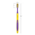 SmileGoods Y321 Youth Toothbrush, 32 Tuft, Soft Bristle, Assorted Colors, Bulk Pack of 72