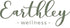 Earthley Wellness Cleaning Paste, Eco-Friendly Certified Organic Cleaning Agent, Plant Based Cleaner for Tub and Sink