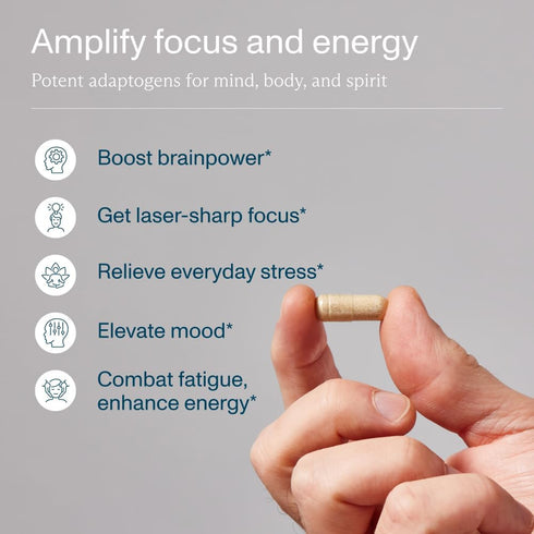FOCL Focus Supplement for Adults, Lions Mane Capsules for Cognitive Performance and Stress Relief
