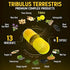 13in1 Tribulus Terrestris Capsules - 16000mg with Maca, Horny Goat Weed, Panax Ginseng & More, 120 Counts