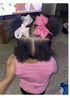 J'Organic Solutions Black Soap Super Hydrating Shampoo - Formulated with Chebe & Pro Vitamin B5