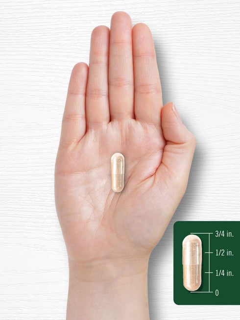 Carlyle Black Cohosh Capsules, 700mg, 300 Count, Non-GMO & Gluten Free Supplement