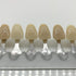 Dental Equipment Teeth Whitening Porcelain Classic 16-Color Shade Guide Model, 1PCS