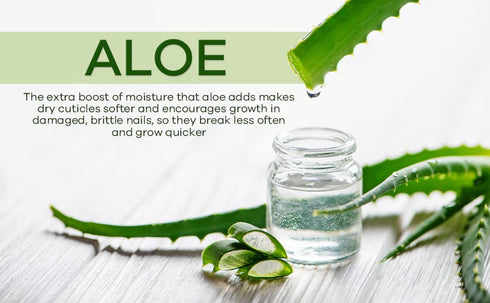 Moisturizing Cuticle & Nail Care Oil 2.3 Fl Oz - Vanilla Scented with Jojoba Oil, Aloe, Vitamin E for Hydration, Repair