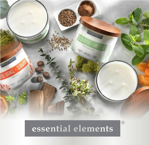 Essential Elements by Candle-lite Eucalyptus & Mint Leaf Scented Candle, 14.75 oz, 45 Hours Burn Time