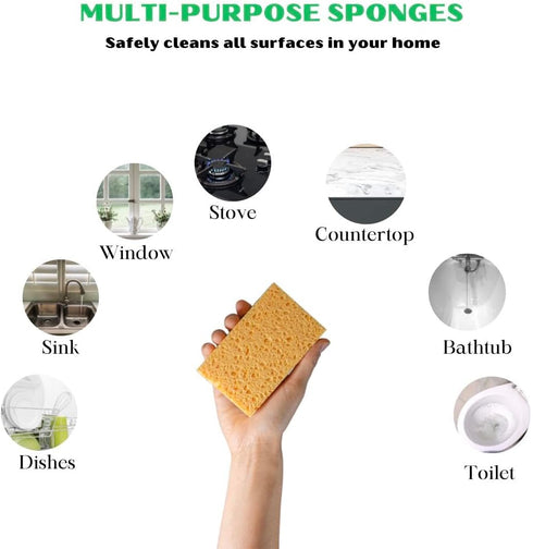 THE GREATER PLANET Natural Kitchen Sponges - Eco-Friendly Biodegradable Organic Cleaning Sponges, 10 Pack