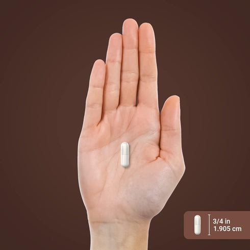 Piping Rock Devils Claw 2000mg - 200 Capsules Herbal Supplement Concentrated Extract for Joint Support