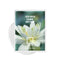 ROVECTIN Clean Lotus Water Calming Sheet Mask, Soothing Hydration with Lotus Flower Extract (5 Count)