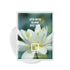 ROVECTIN Clean Lotus Water Calming Sheet Mask, Soothing Hydration with Lotus Flower Extract (5 Count)