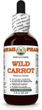 Hawaii Pharm Wild Carrot (Daucus Carota) Dry Seed Glycerite, All Natural, Vegan, Lab Tested