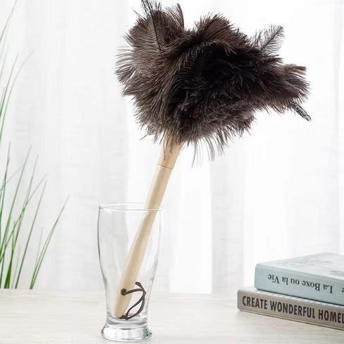 Dust Artifact Ostrich Feather Duster: Natural Ostrich Feather with Wooden Handle, Eco-Friendly Reusable Cleaning
