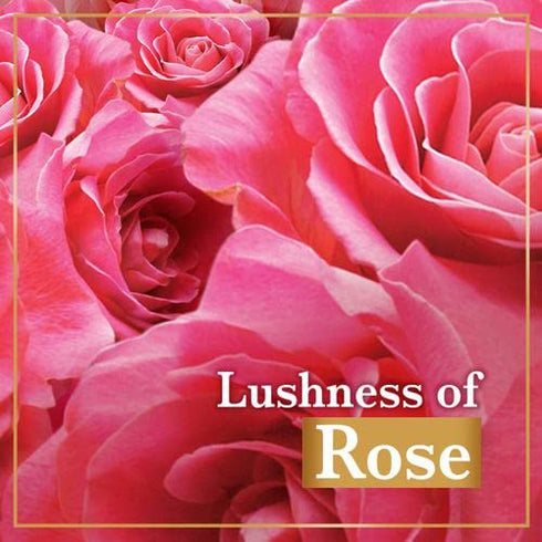 LUX Soft Touch Silk Essence & Rose Water Soap Bar, 5.2 Ounce (Pack of 3)