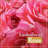 LUX Soft Touch Silk Essence & Rose Water Soap Bar, 5.2 Ounce (Pack of 3)
