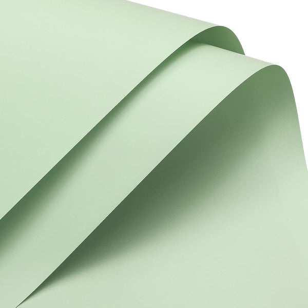 MECCANIXITY 10 Pcs Flower Wrapping Paper, 22.8x22.8 Inch Waterproof Florists Wrapping Paper for DIY Crafts, Light Green