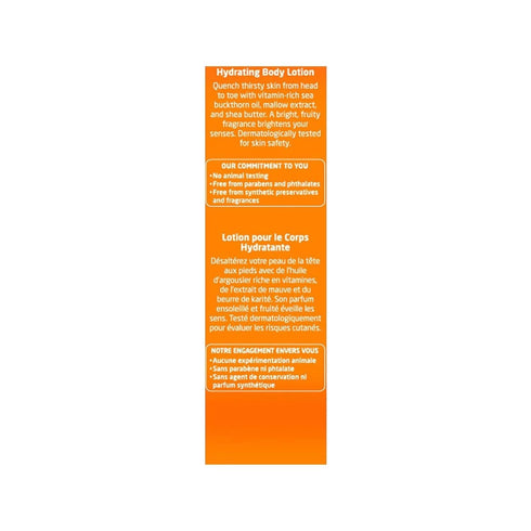 Weleda Hydrating Sea Buckthorn Body Lotion | 6.8 Fluid Ounces (Single Pack)