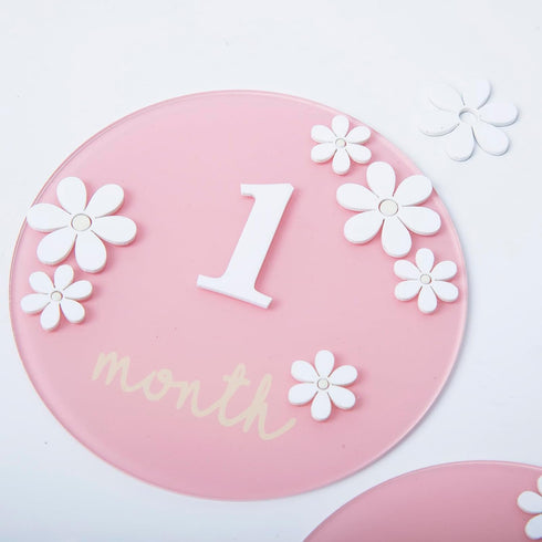 Troxueo 3D 1-12 Acrylic Daisy Baby Milestone Cards, Baby Milestone Signs, Months Interchangeable Monthly Milestone