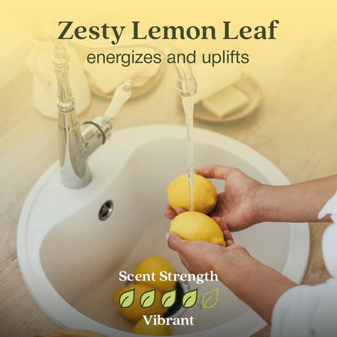 Enviroscent Non Toxic Air Freshener Plug-in, Lemon Leaf & Thyme, 1 Refillable Plug In & 1 Scent Refill, Lasts 45+ Days