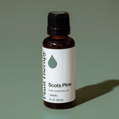 Plant Therapy Scots Pine Essential Oil 30 mL (1 oz) 100% Pure, Undiluted