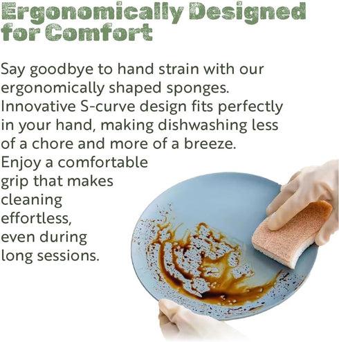 12PCS Natural Kitchen Sponges | Biodegradable Non-Scratch Cellulose and Coconut Fiber Sponge | Eco-Friendly for Dishes
