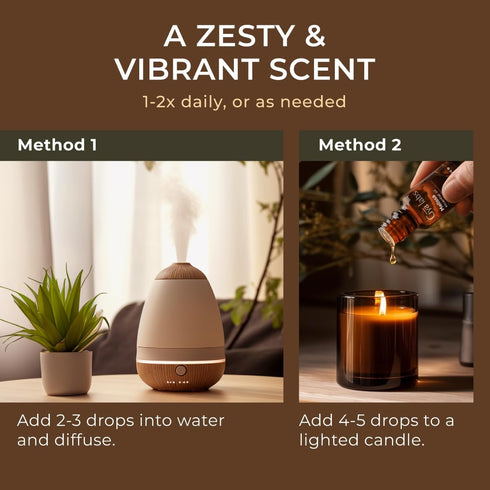 Gya Labs Melissa Essential Oil for Candle Making Scents - 0.34 Fl Oz Natural Melissa Oil