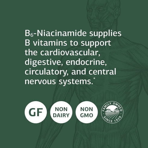 Standard Process B6-Niacinamide Supplement - 90 Tablets for Energy Metabolism, Heart Health & Digestion with Vitamin
