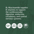 Standard Process B6-Niacinamide Supplement - 90 Tablets for Energy Metabolism, Heart Health & Digestion with Vitamin