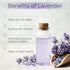 Radha Beauty Lavender Essential Oil 4oz - Premium Therapeutic Grade for Aromatherapy, Relaxation, Massage