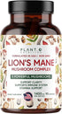 Plant.O Premium Lion's Mane Supplement, All Natural Nootropics Brain Supplement, 90 Caps