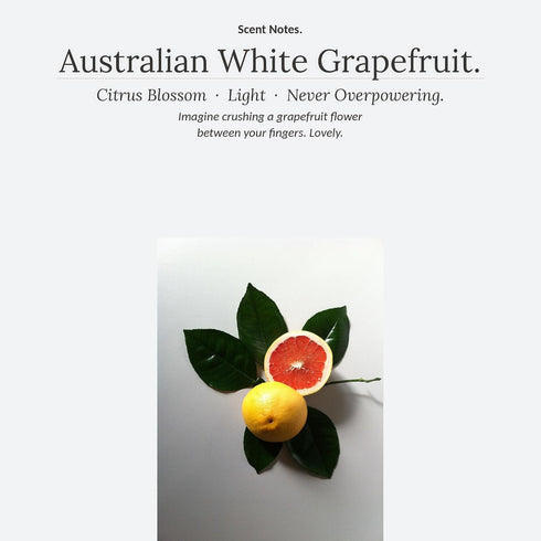 Murchison-Hume All Purpose Cleaner Spray | Plant Based Multi-Surface | Non-Toxic | Food & Pet Safe | Stone & Marble