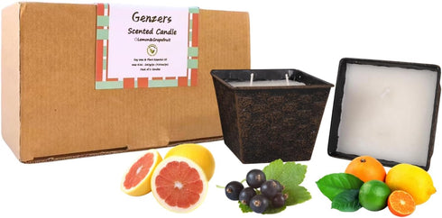 Lemon Grapefruit Scented Candles Set,Citrus Candles Pack of 2,Long Burning Large Candle