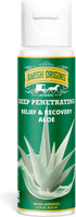 Amish Origins Deep Penetrating Joint & Muscle Therapy Aloe Cream 3.5 oz Pump for Sore Muscle Relief