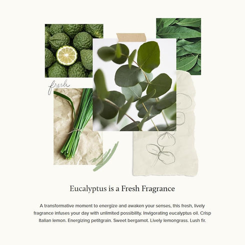 Thymes Eucalyptus Countertop Spray, 16.5 fl oz