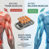 SMART SLOPPY 16-Head 3 30 Waist,2600mAh Deep Tissue Body Massager with Heat, Modes & Intensities, Multi-Head Back