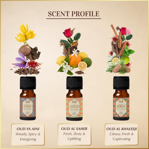Set, 3 10ml Set 100% Arabic Oud Diffuser Oil Essential Oils by Dukhni | x Oudh Oil Gift for Diffuser & humidifier |