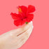 Poo-Pourri Before-You-Go Toilet Spray, Tropical Hibiscus - 2 Fl Oz with Hibiscus, Apricot and Citrus