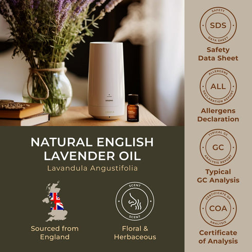 Set Set 2x0.34 Oz Gya Labs Lavender Oil Essential Oil for Diffuser & English Lavender Essential Oil for Diffuser