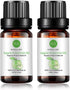 Rainbow Abby 2-Pack Apple Essential Oil - Pure, Undiluted, Therapeutic Grade - 2x10 mL