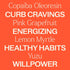 Plant Therapy Crave Control Essential Oil Blend - Pre-Dilute Roll-On 10 mL, 100% Pure
