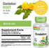 SOLARAY Dandelion Root 1040mg | 180 VegCaps | Healthy Liver, Kidney, Digestion & Water Balance Support