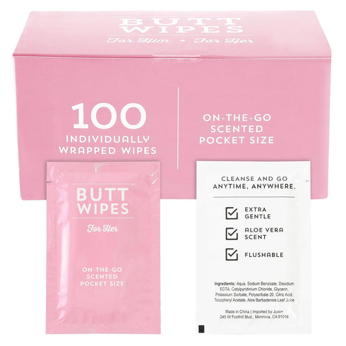 BLUE PANDA Wet Travel Wipes - Individually Wrapped Packets for On-the-Go -