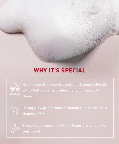 menorah skincare Gentle Cleansing Mousse, with Cacti, Cucumis, Hydration Soothing Facial Cleanser