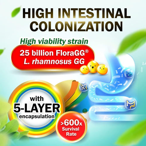 LABO Nutrition FloraGG, Lactobacillus Rhamnosus GG Probiotics & Sunfiber Prebiotic Fiber Supplement, 60s