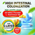LABO Nutrition FloraGG, Lactobacillus Rhamnosus GG Probiotics & Sunfiber Prebiotic Fiber Supplement, 60s