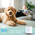 SpaRoom Athena Bluetooth Ultrasonic Essential Oil Diffuser for Large Rooms