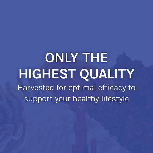 Host Defense Stamets 7-7 Species Blend, Mushroom Supplement for Immune Support, 60 Capsules