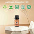 yethious Harvest Spice Fragrance Oil - Scented Oils for Diffusers, Soap, Candle Making, 10ML