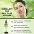 Organic Veda Neem Oil - Pure, Cold Pressed Neem Oil for Skin, Hair, Face, Body, Scalp - Rich in Vitamin E, 3.4 fl oz